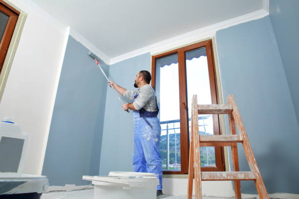 Best Mold Prevention Services  in Roanoke, IL