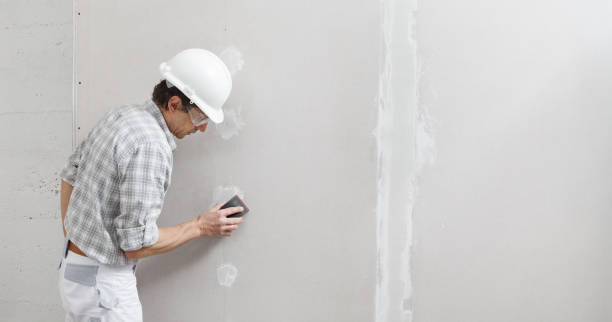 Best Residential Mold Inspection & Testing  in Roanoke, IL