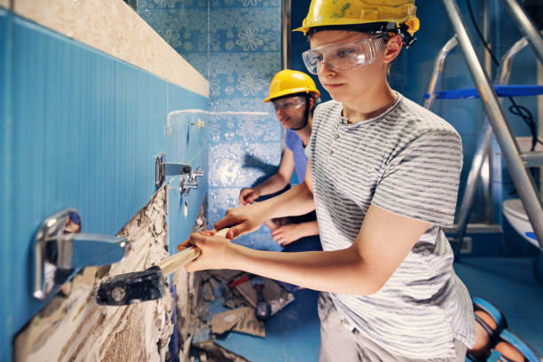 Best Mold Odor Removal Services  in Roanoke, IL