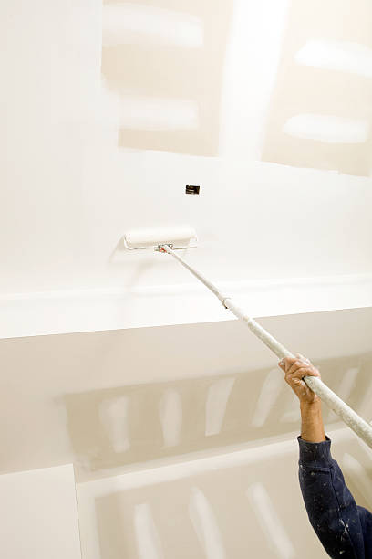 Best Basement Mold Removal  in Roanoke, IL