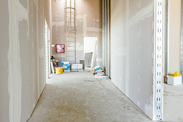 Best Crawl Space Mold Remediation  in Roanoke, IL